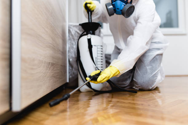 Pest Control for Restaurants in Geneva, FL