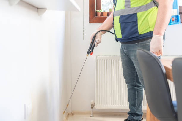 Best Wasp Removal Services  in Geneva, FL