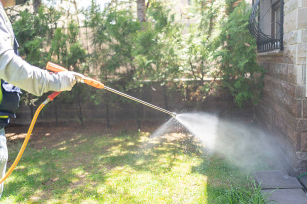 Spider Control Near Me in Geneva, FL