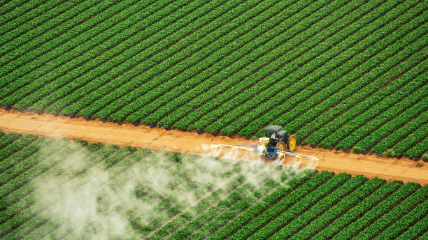 Best Mosquito Control Services  in Geneva, FL