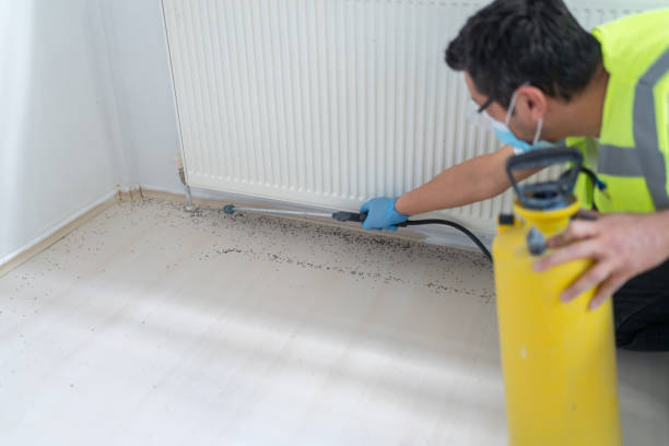 Professional Pest Control in Geneva, FL